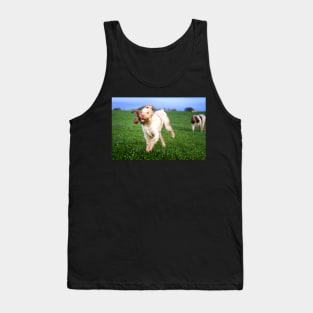 Sausage thief Spinone Tank Top